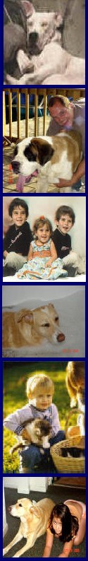 BUCHANANFPC PHOTO (LEFT BORDER PHOTOS)