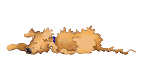 BUCHANANFPC ANIMATION (RAGGED BROWN DOG)