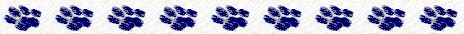 BUCHANANFPC ANIMATION (NINE DARK BLUE PAWS)