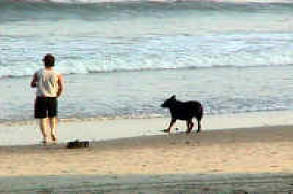  BUCHANANFPC PHOTO (GERRY, AND HIS SERVICE DOG, MACHO, AT ORCHARD BEACH -- BRONX, NEW YORK)